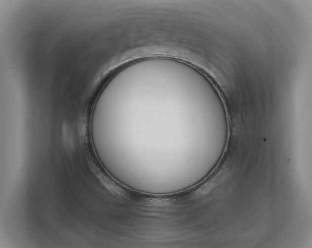 X0000111881499200908061303