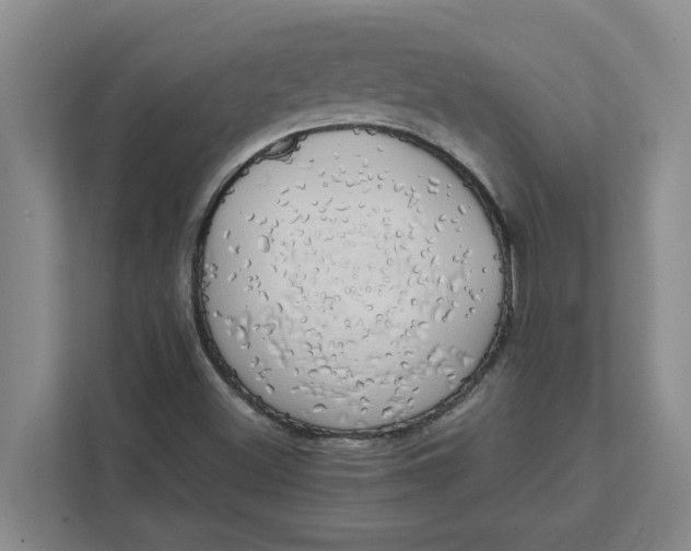 X0000111881500200908061303