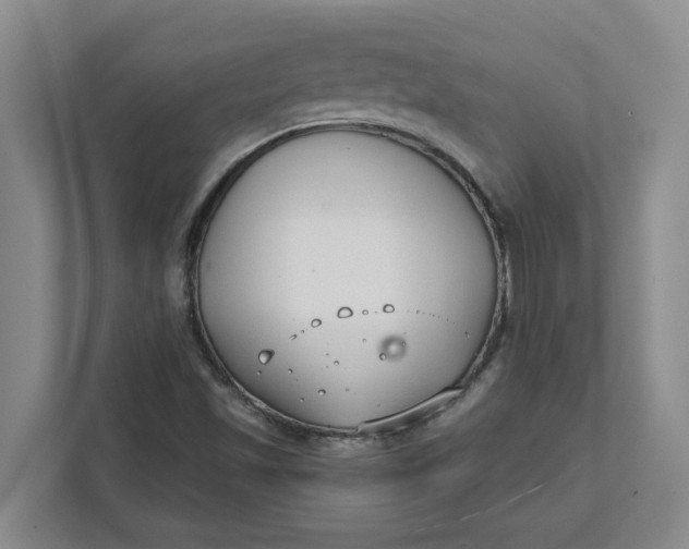 X0000111881501200908061303