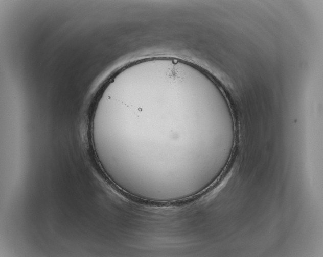 X0000111881502200908061303