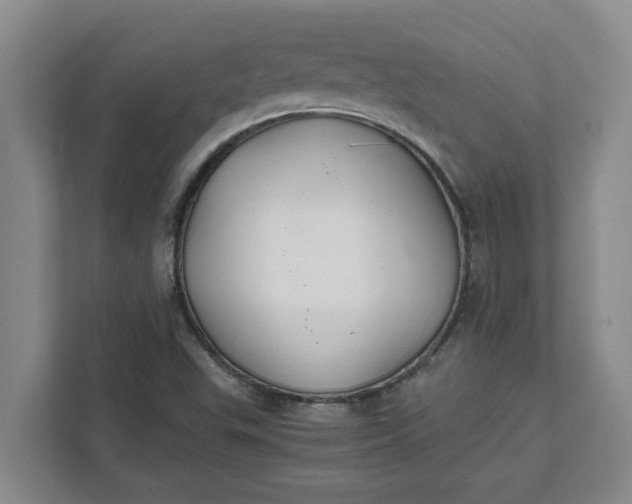 X0000111881503200908061303