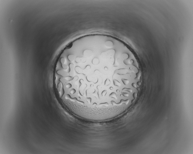 X0000111881504200908061303