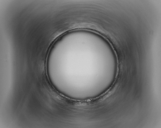 X0000111881505200908061303