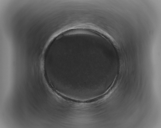 X0000111881506200908061303