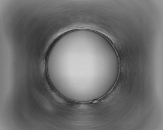 X0000111881507200908061303