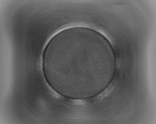 X0000111881508200908061303