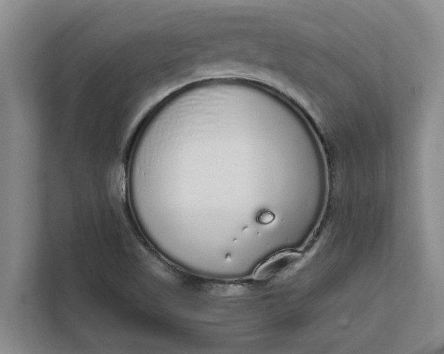 X0000111881509200908061303