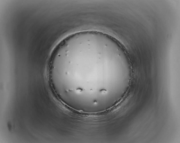 X0000111881510200908061303