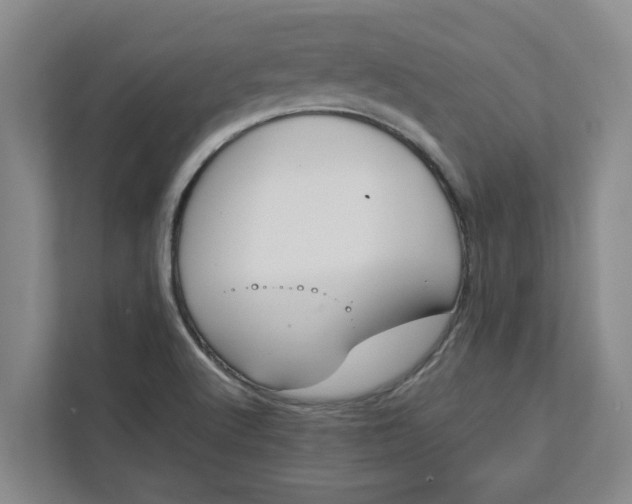 X0000111881512200908061303