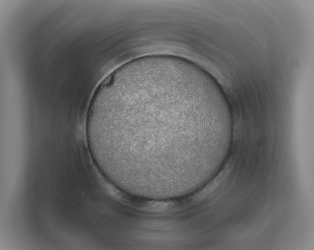 X0000111881513200908061303