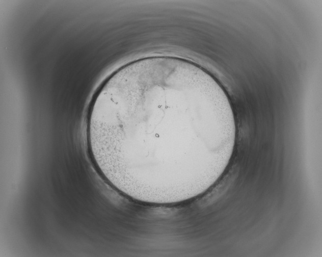 X0000111881514200908061303