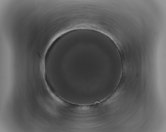 X0000111881515200908061303