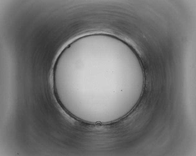 X0000111881516200908061303