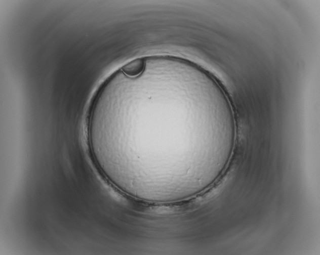 X0000111881517200908061303