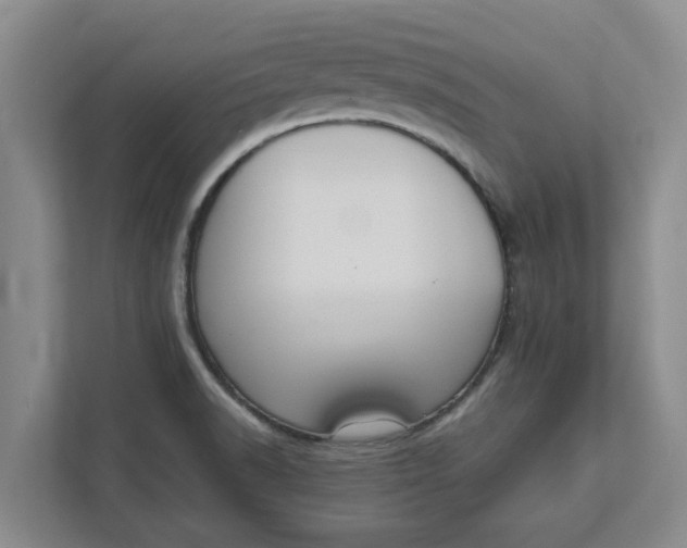 X0000111881518200908061303