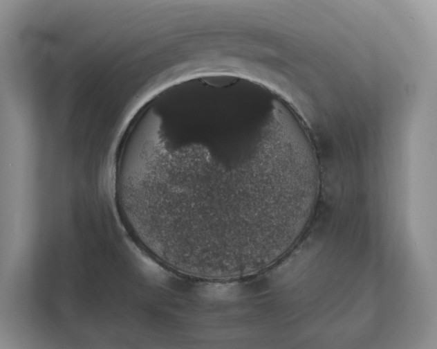 X0000111881519200908061303