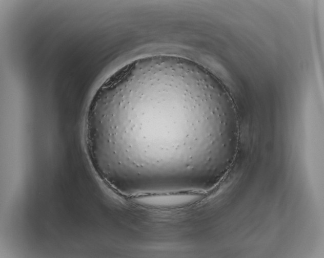 X0000111881520200908061304