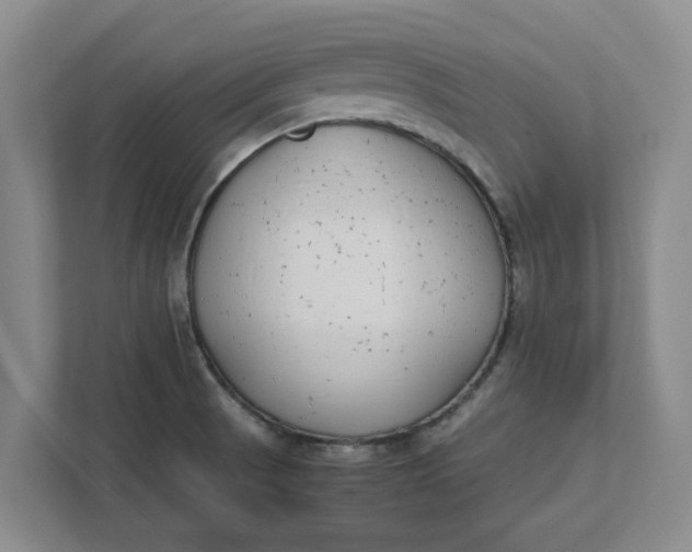 X0000111881521200908061304