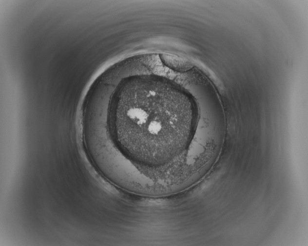 X0000111881522200908061304