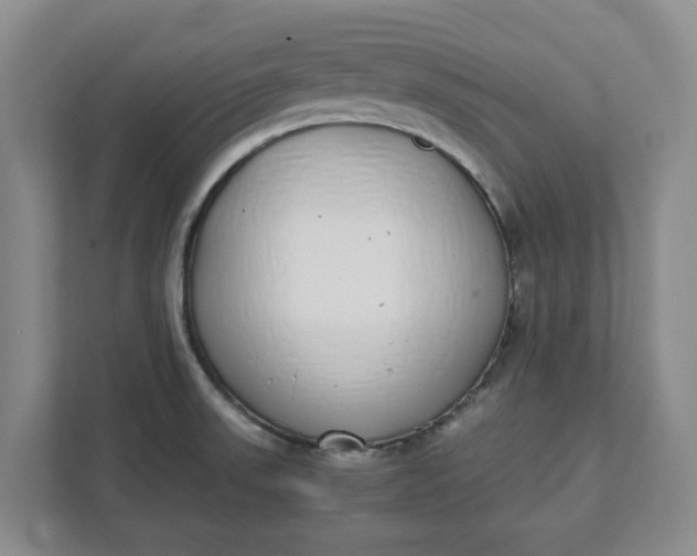 X0000111881523200908061304