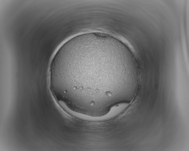 X0000111881524200908061304