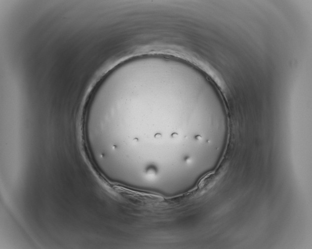 X0000111881525200908061304