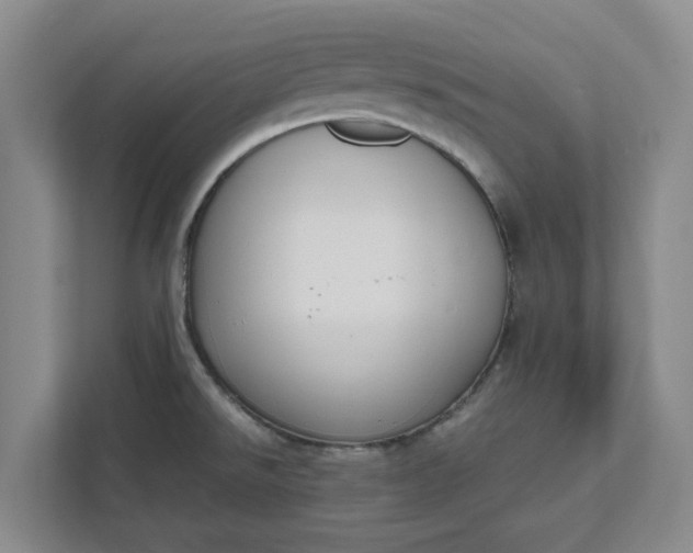 X0000111881526200908061304