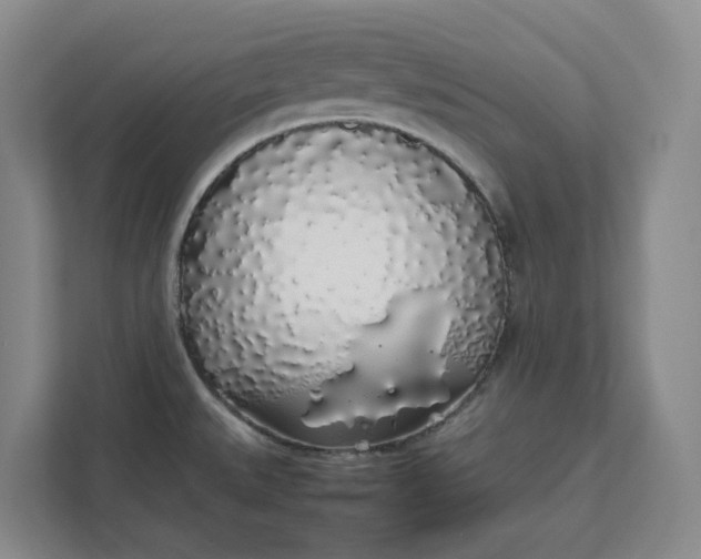 X0000111881527200908061304