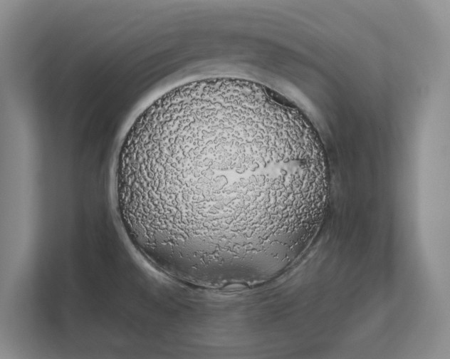 X0000111881528200908061304