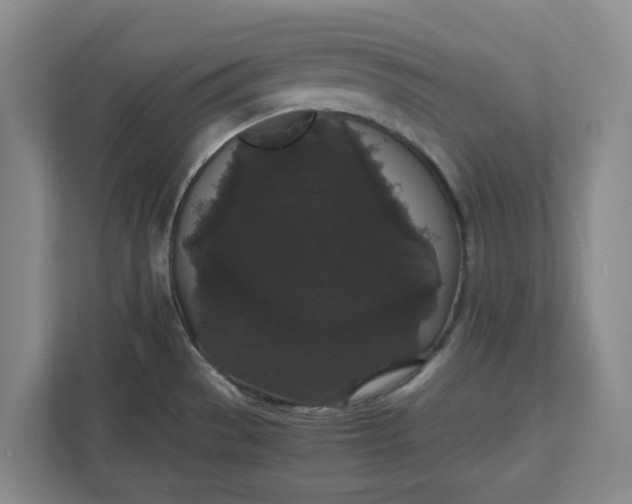 X0000111881529200908061304