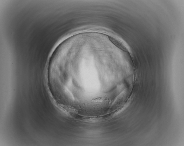 X0000111881530200908061304