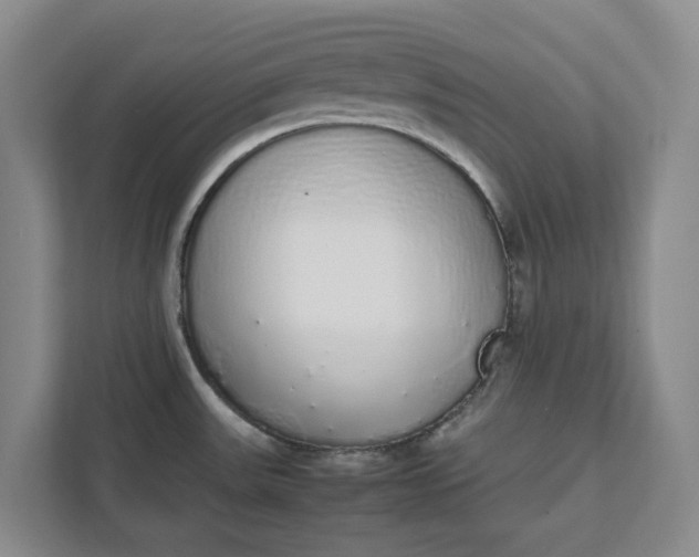 X0000111881531200908061304