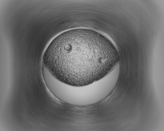 X0000111881532200908061304