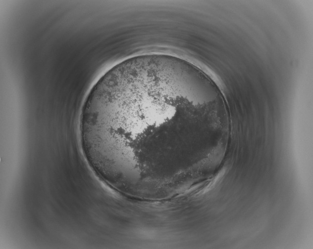 X0000111881533200908061304