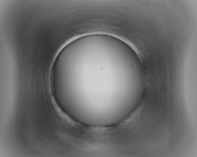 X0000111881534200908061304