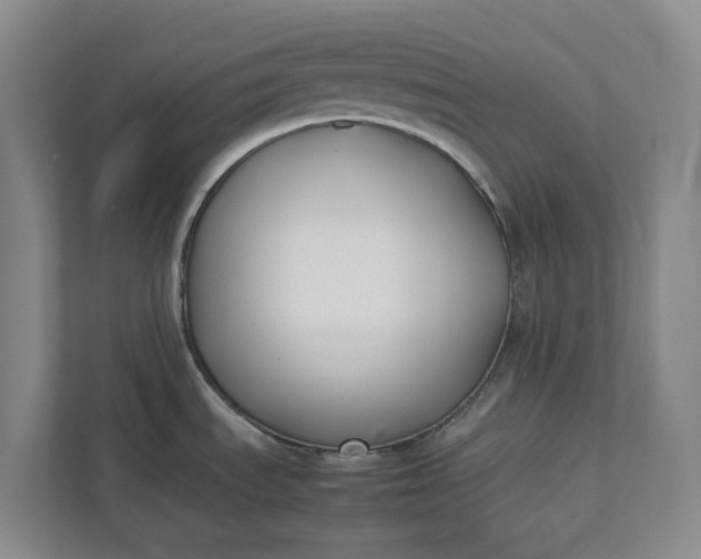 X0000111881535200908061304