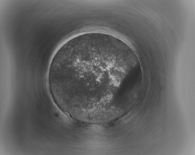 X0000111881536200908061304