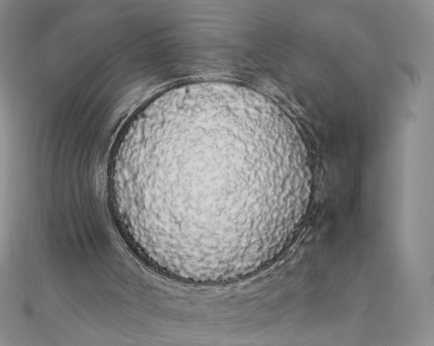 X0000111880002200908131643