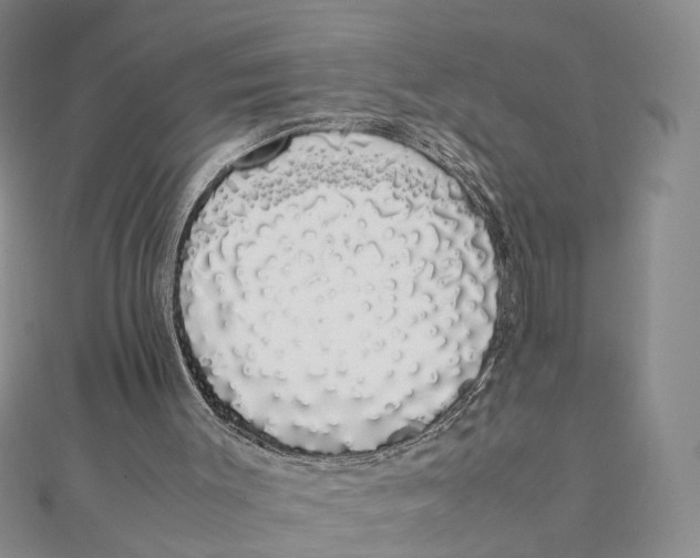 X0000111880003200908131643