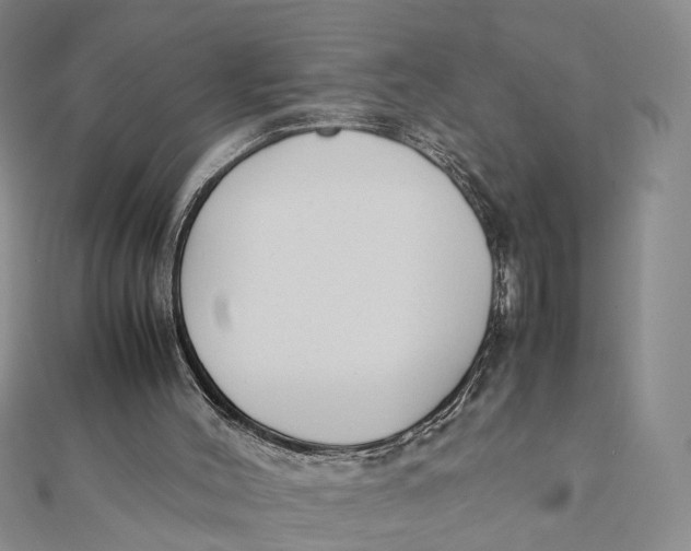 X0000111880004200908131643