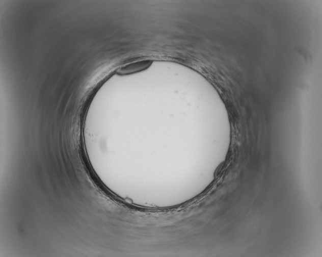X0000111880005200908131643