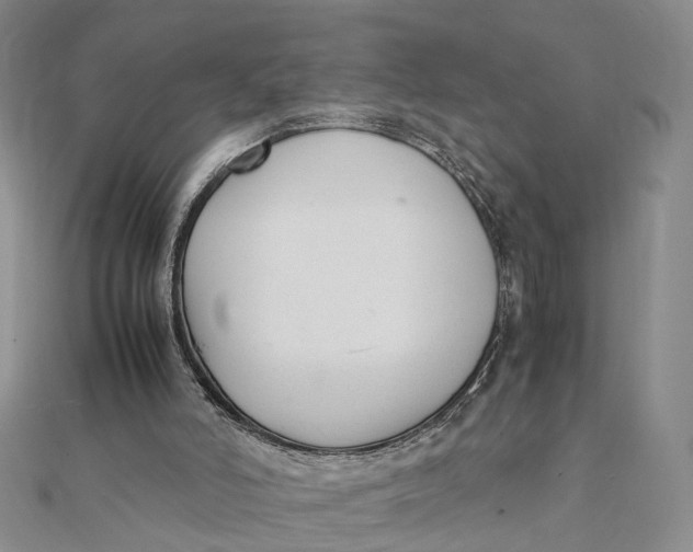 X0000111880006200908131643