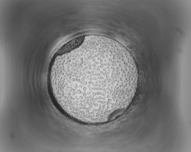 X0000111880007200908131643