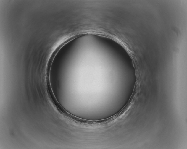 X0000111880008200908131643
