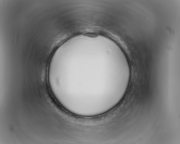 X0000111880010200908131643