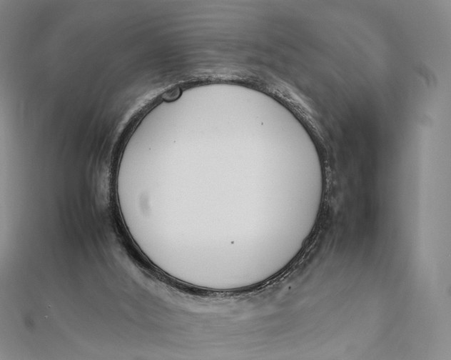 X0000111880012200908131643
