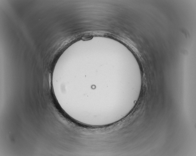 X0000111880013200908131643