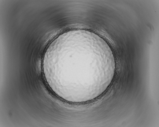 X0000111880014200908131643