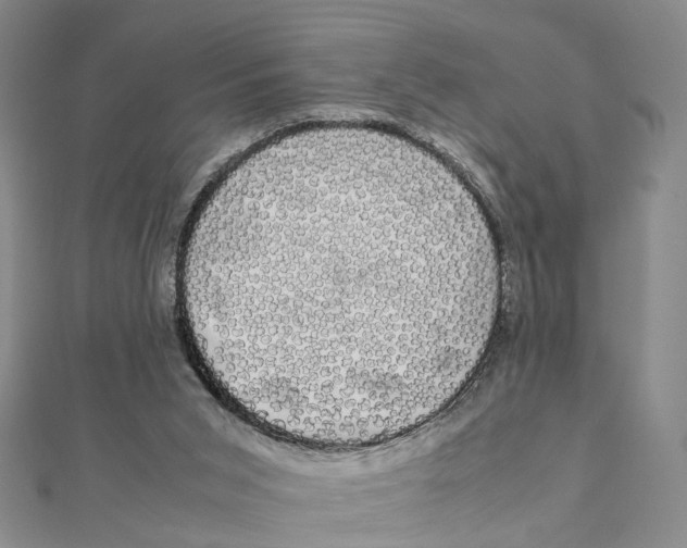 X0000111880015200908131643