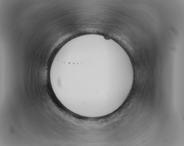 X0000111880016200908131643